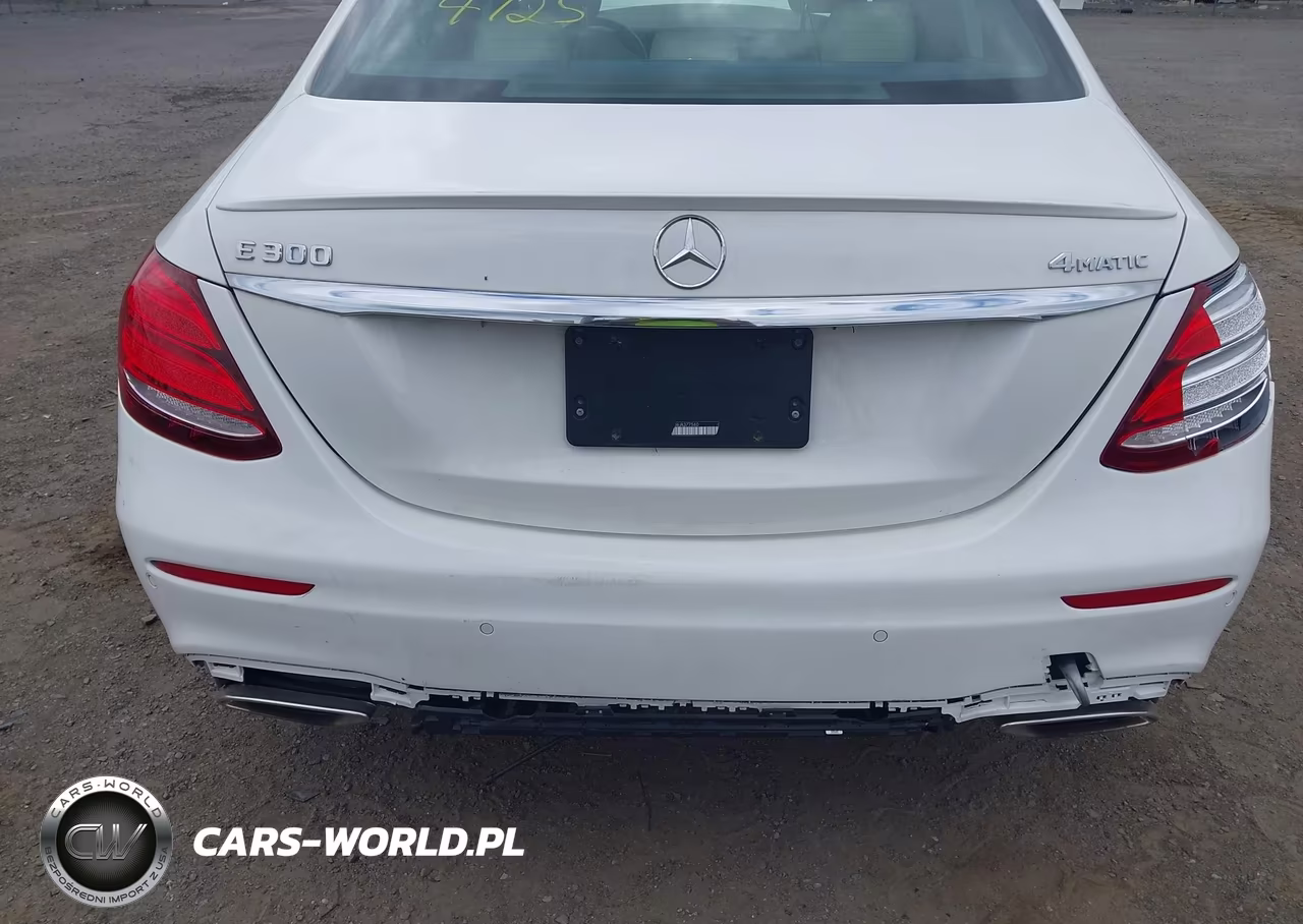MERCEDES-BENZ E 300 VIN:WDDZF4KB6JA377560 - 21