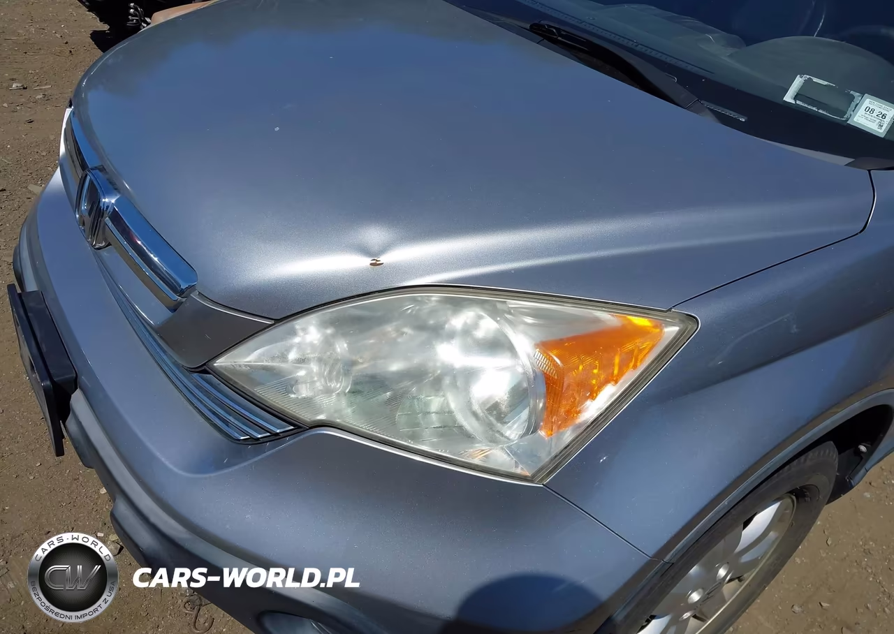 2007 Honda Cr-V Ex-L VIN:JHLRE48707C084835 - 6