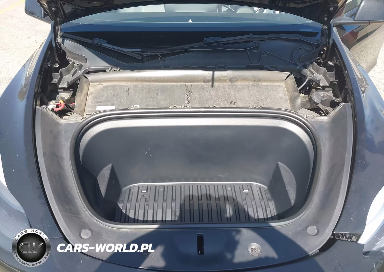2023 Tesla Model Y Awd-Long Range Dual Motor All-Wheel Drive VIN:7SAYGDEE1PF623734 - 10