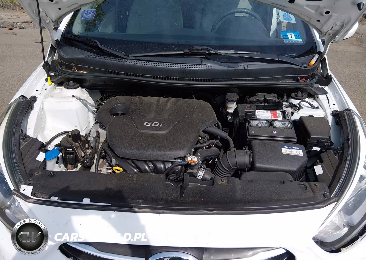 2016 Hyundai Accent Se VIN:KMHCT5AE1GU262894 - 10