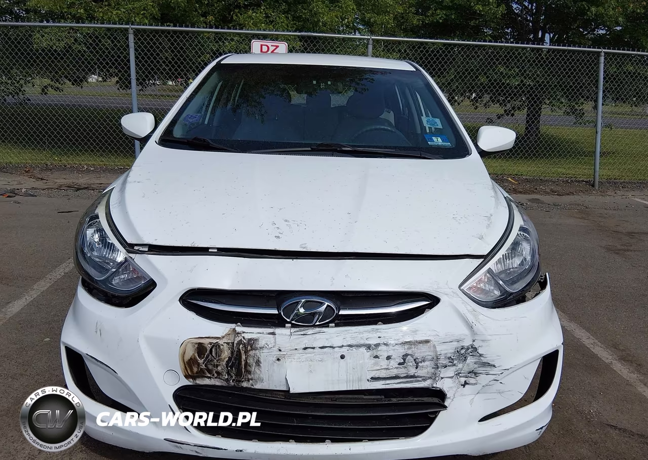 2016 Hyundai Accent Se VIN:KMHCT5AE1GU262894 - 12