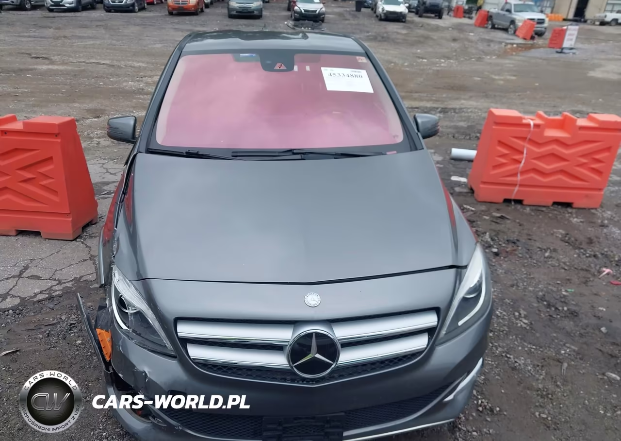 2015 Mercedes-Benz B-Class Electric Drive VIN:WDDVP9AB6FJ004648 - 12