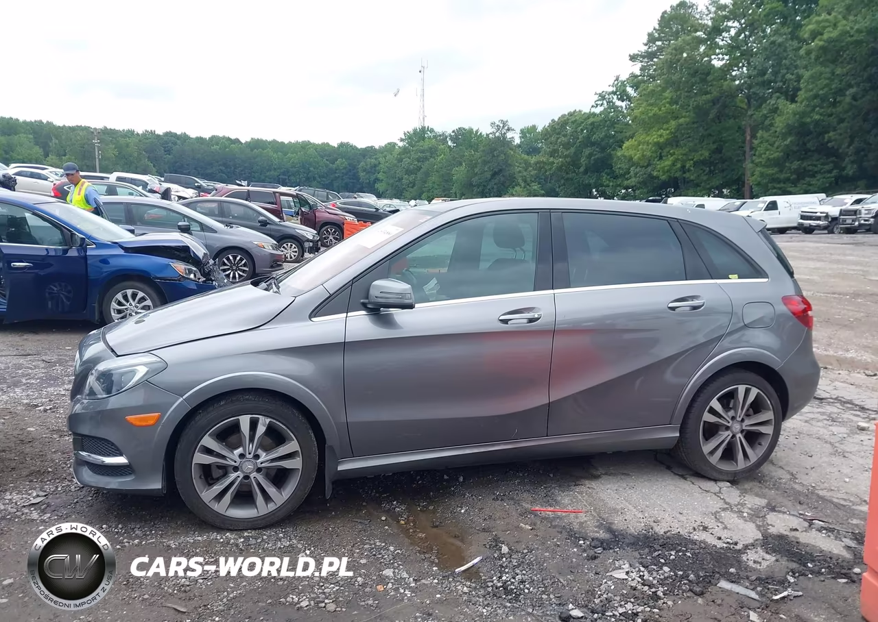 2015 Mercedes-Benz B-Class Electric Drive VIN:WDDVP9AB6FJ004648 - 14