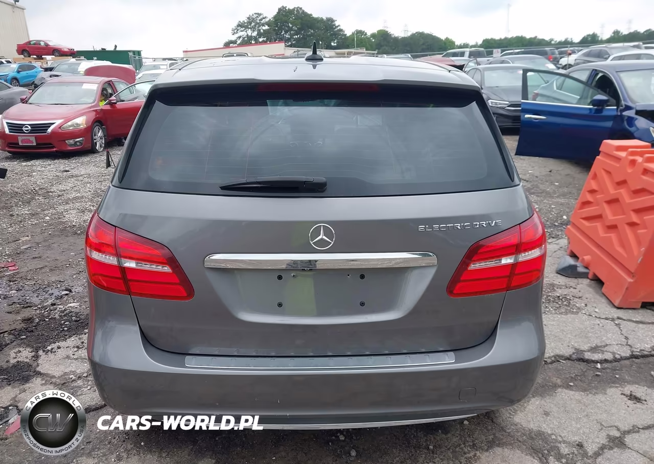 2015 Mercedes-Benz B-Class Electric Drive VIN:WDDVP9AB6FJ004648 - 16