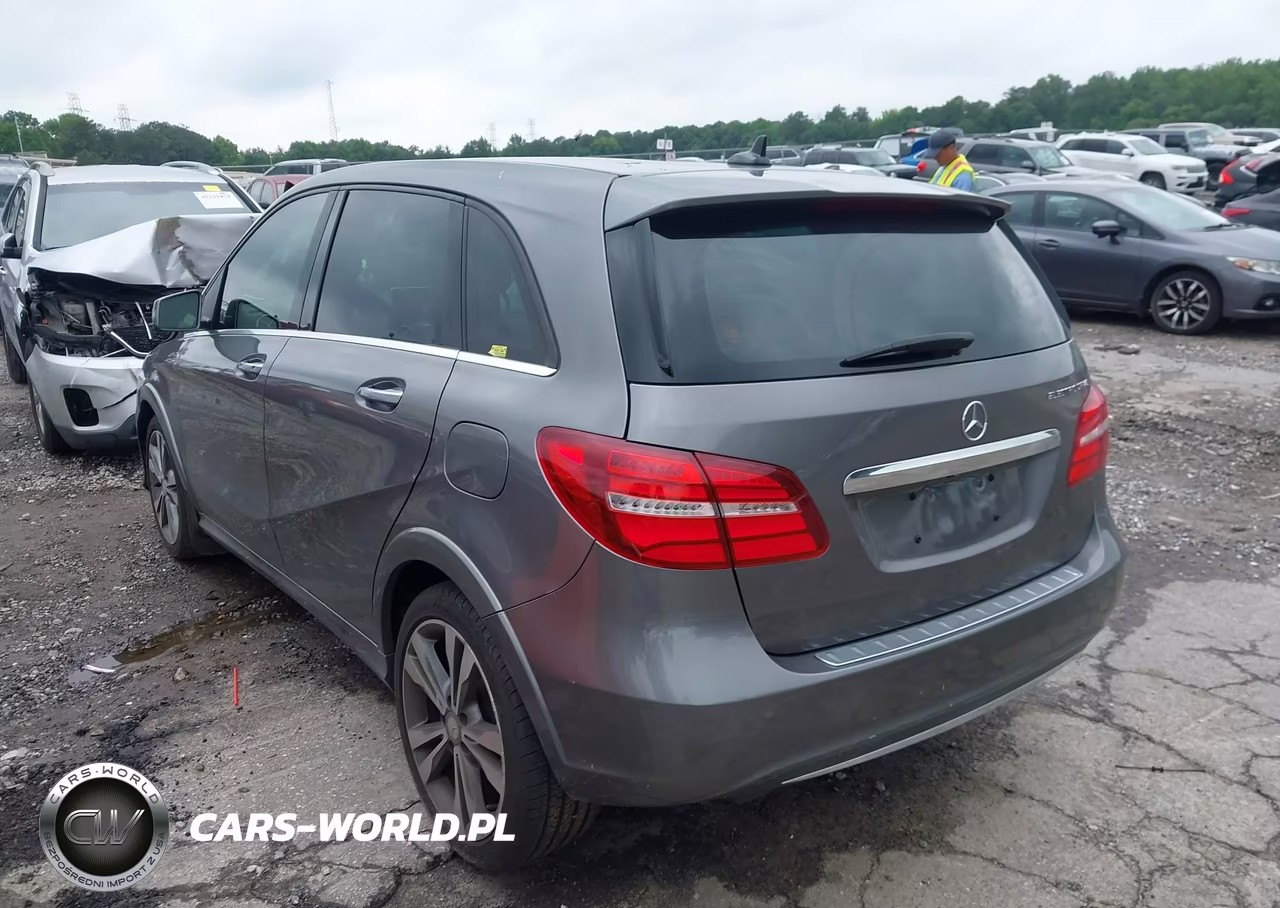 2015 Mercedes-Benz B-Class Electric Drive VIN:WDDVP9AB6FJ004648 - 3