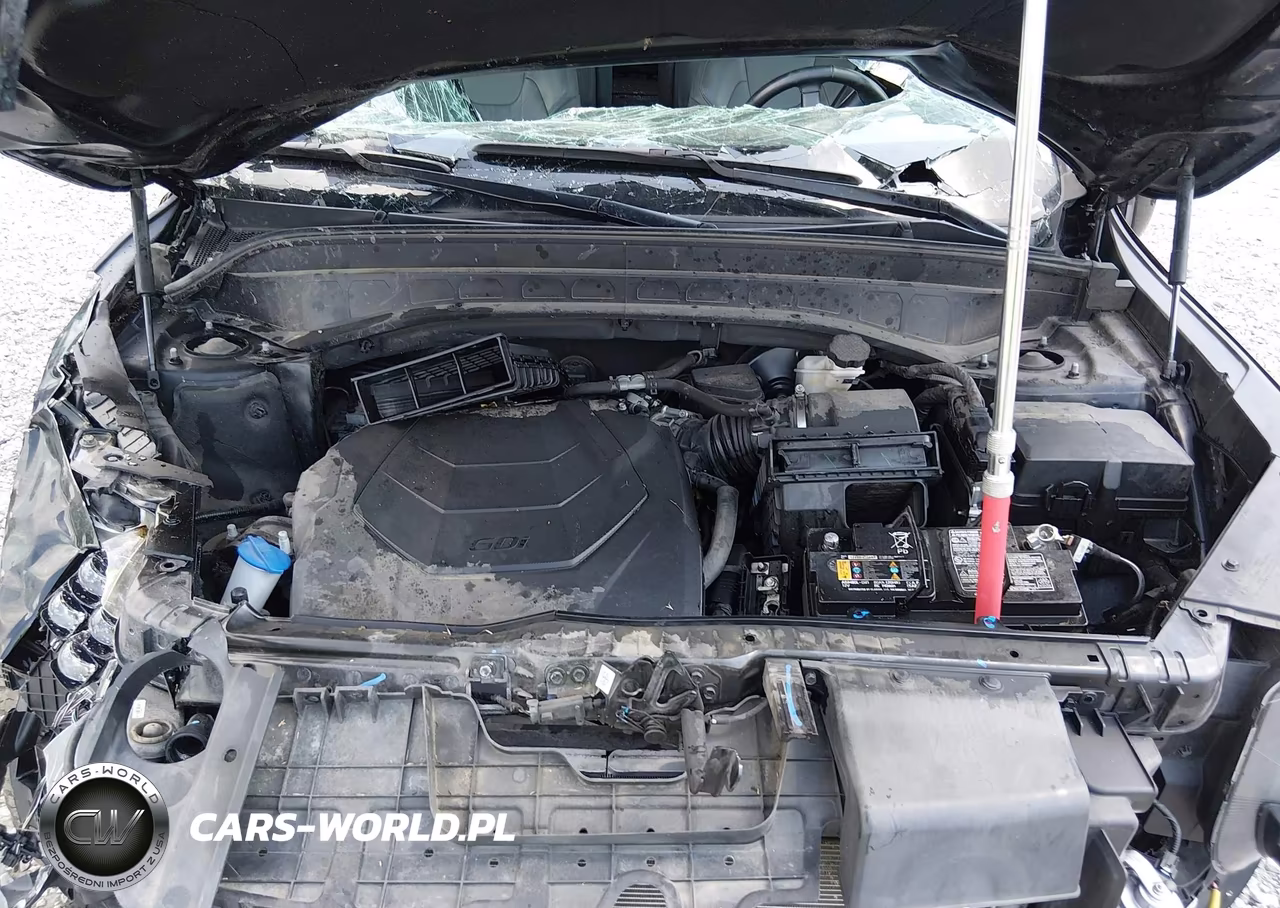 2023 Kia Telluride Sx X-Pro VIN:5XYP5DGC1PG344920 - 10