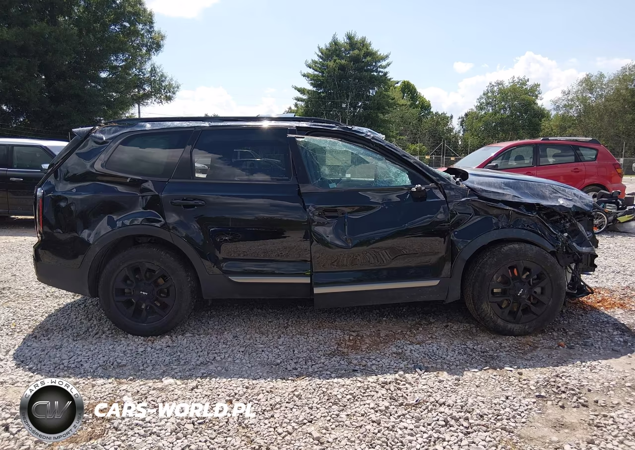 2023 Kia Telluride Sx X-Pro VIN:5XYP5DGC1PG344920 - 13