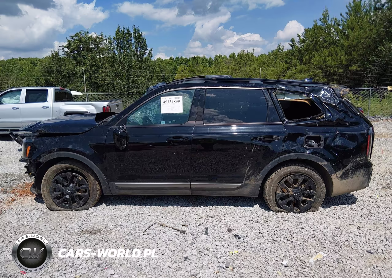 2023 Kia Telluride Sx X-Pro VIN:5XYP5DGC1PG344920 - 14