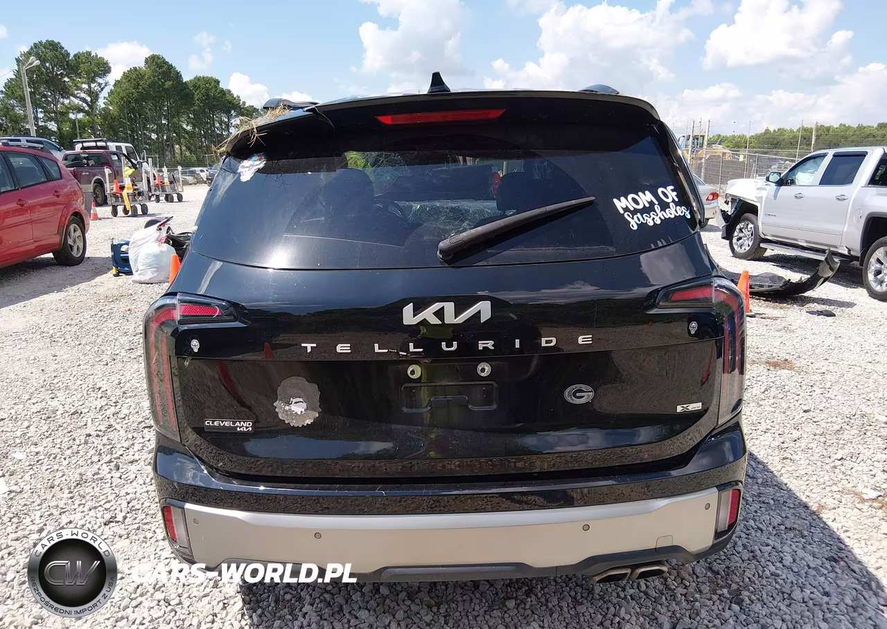 2023 Kia Telluride Sx X-Pro VIN:5XYP5DGC1PG344920 - 16