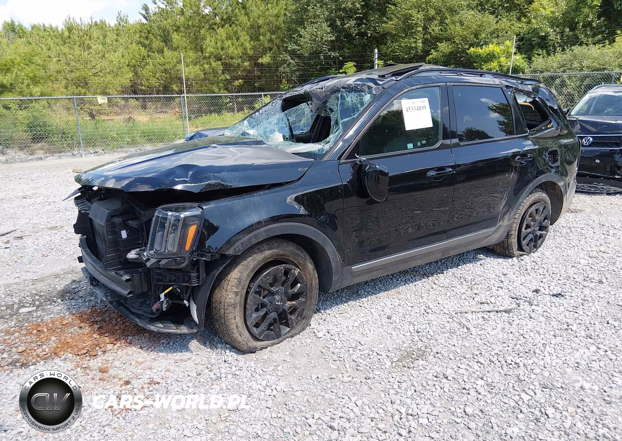 2023 Kia Telluride Sx X-Pro VIN:5XYP5DGC1PG344920 - 2