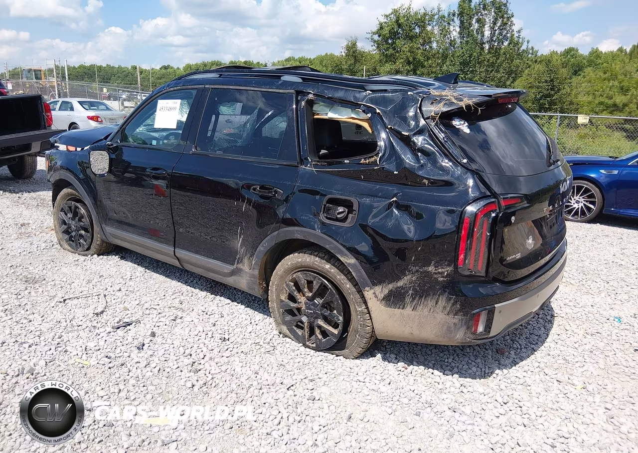 2023 Kia Telluride Sx X-Pro VIN:5XYP5DGC1PG344920 - 3