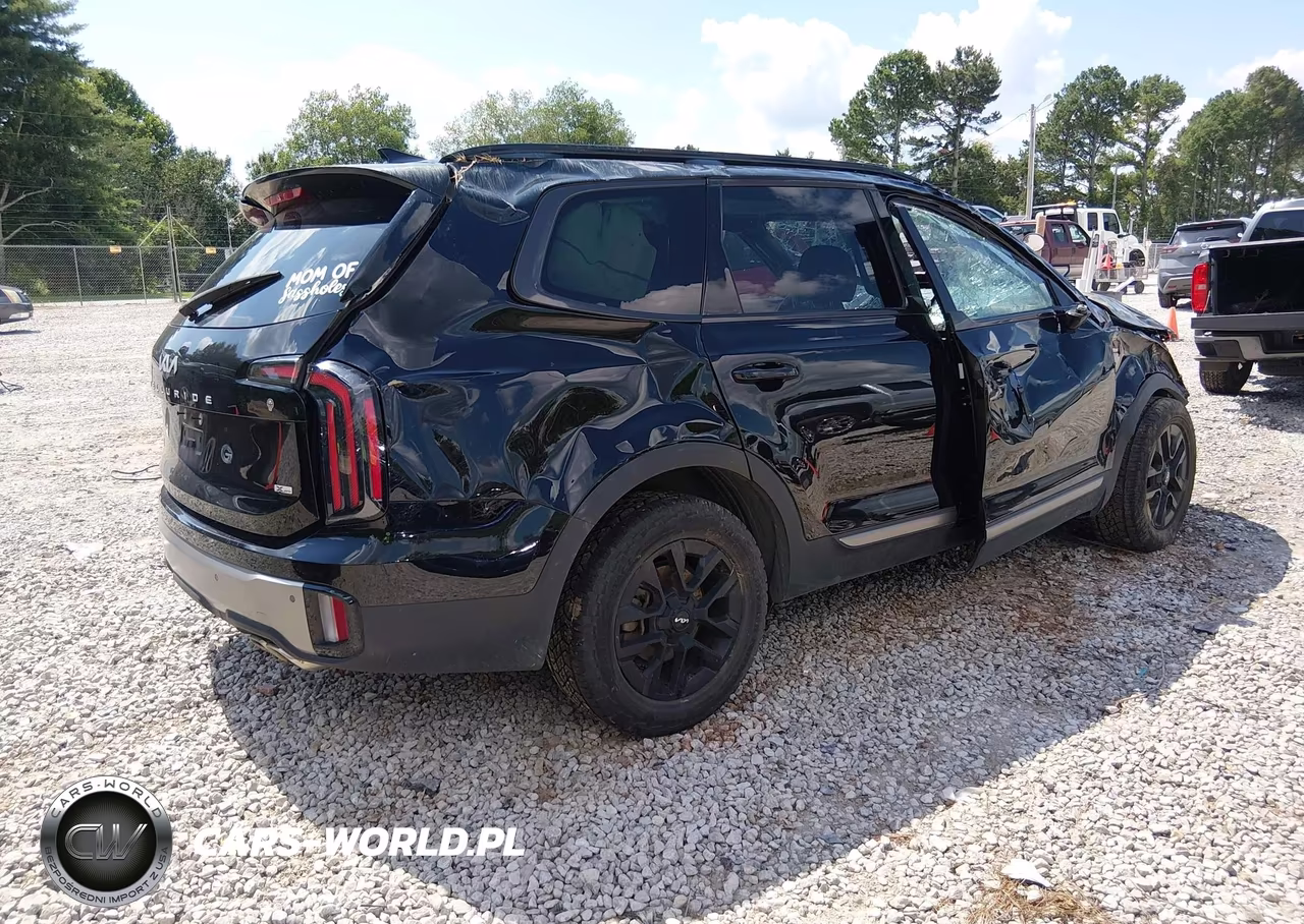 2023 Kia Telluride Sx X-Pro VIN:5XYP5DGC1PG344920 - 4