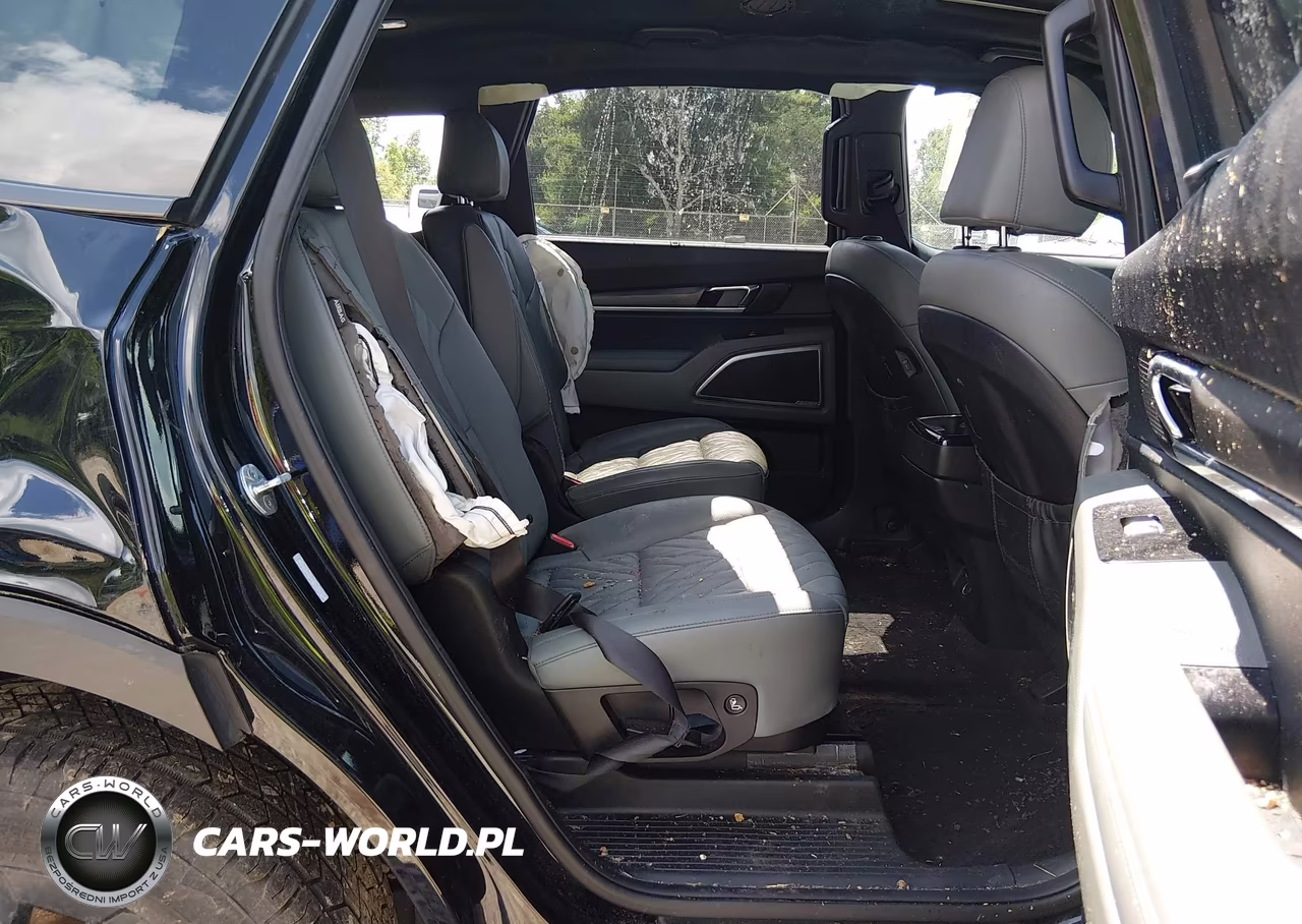 2023 Kia Telluride Sx X-Pro VIN:5XYP5DGC1PG344920 - 8