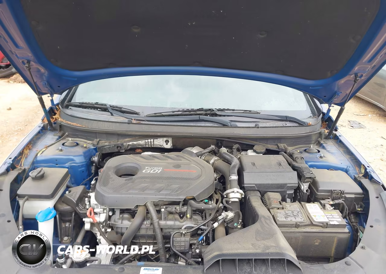 2019 Hyundai Sonata Limited 2.0T VIN:5NPE34AB3KH769005 - 10