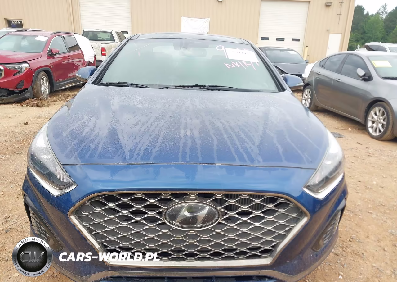 2019 Hyundai Sonata Limited 2.0T VIN:5NPE34AB3KH769005 - 11
