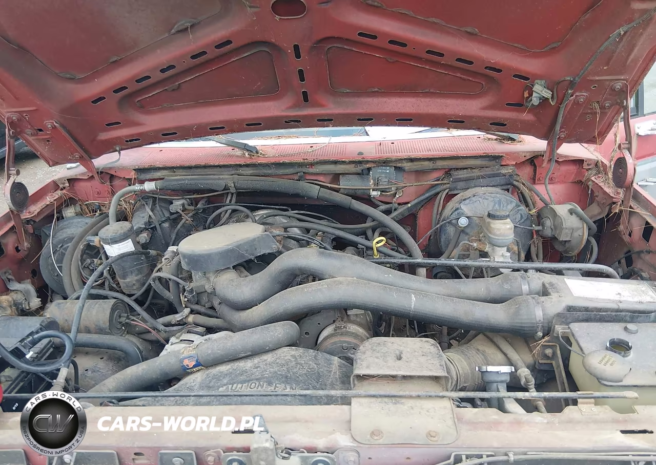 1987 Ford F150 VIN:1FTCF15N9HNB19444 - 10