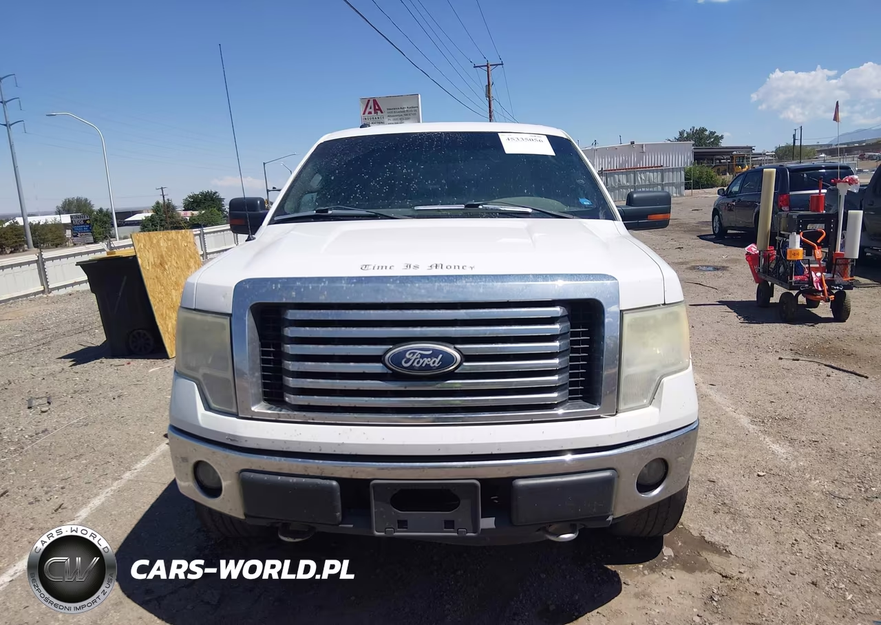 2010 Ford F-150 Fx4-Harley-Davidson-King Ranch-Lariat-Platinum-Xl-Xlt VIN:1FTFW1EV6AKE71207 - 11