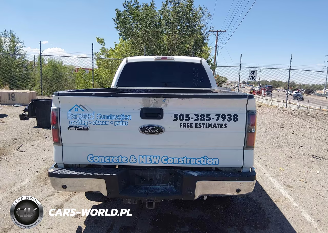 2010 Ford F-150 Fx4-Harley-Davidson-King Ranch-Lariat-Platinum-Xl-Xlt VIN:1FTFW1EV6AKE71207 - 15