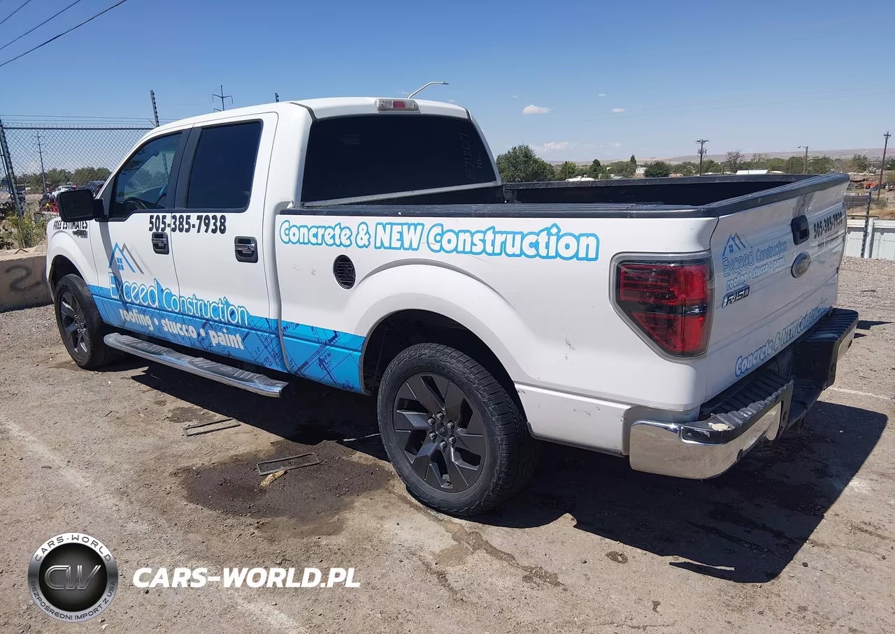 2010 Ford F-150 Fx4-Harley-Davidson-King Ranch-Lariat-Platinum-Xl-Xlt VIN:1FTFW1EV6AKE71207 - 3