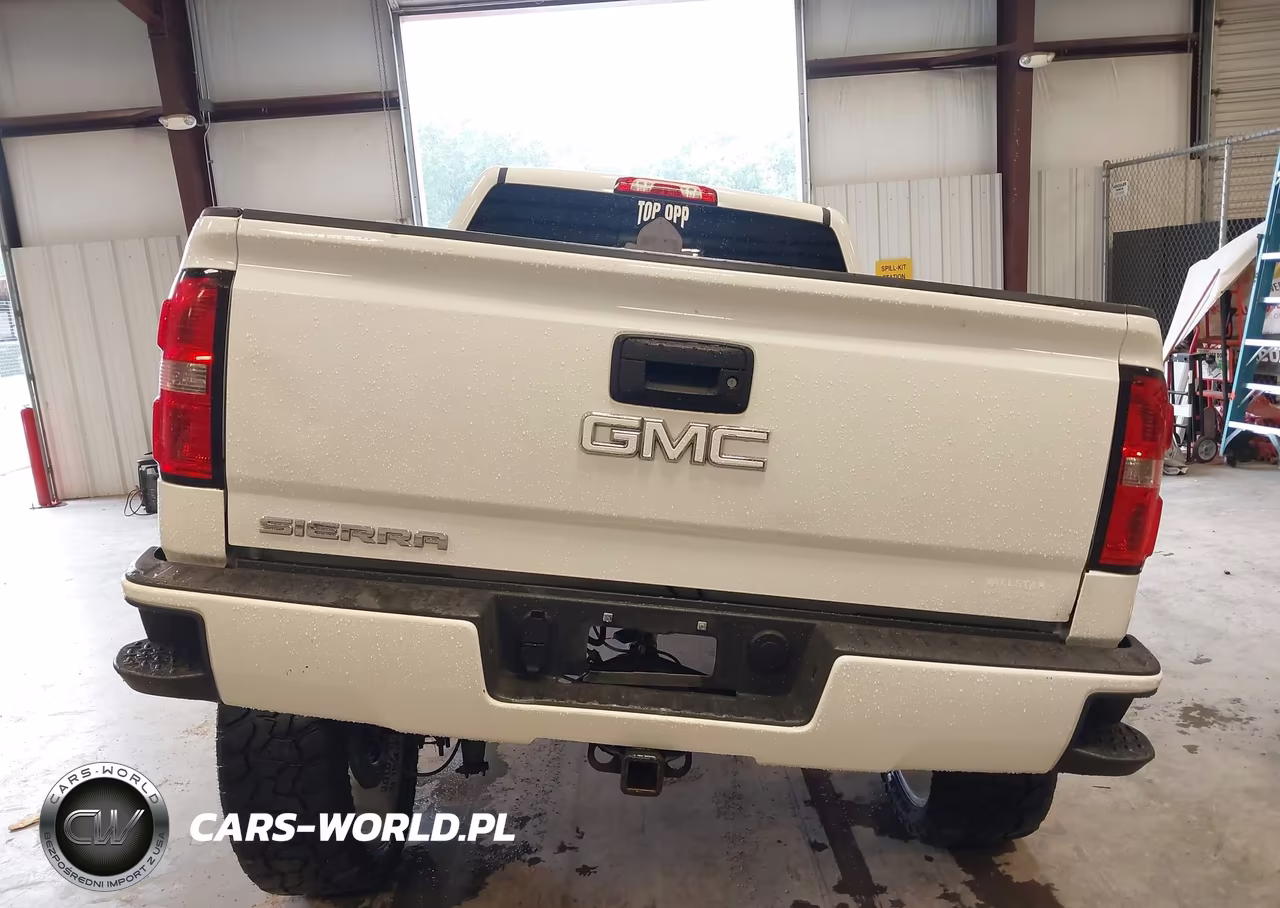2017 GMC Sierra 1500 VIN:1GTR1LEC1HZ107185 - 17