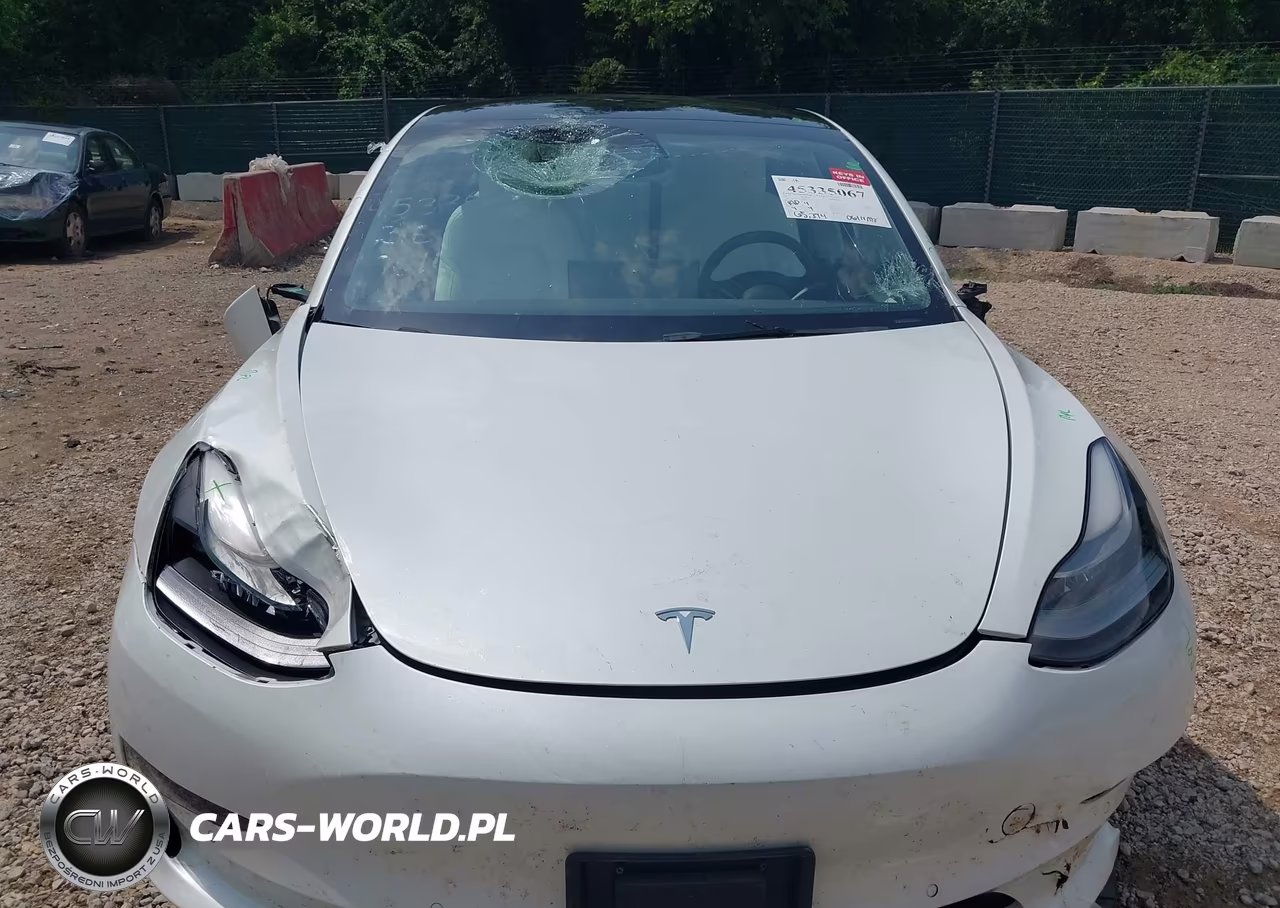 2022 Tesla Model 3 Long Range Dual Motor All-Wheel Drive VIN:5YJ3E1EBXNF192910 - 12