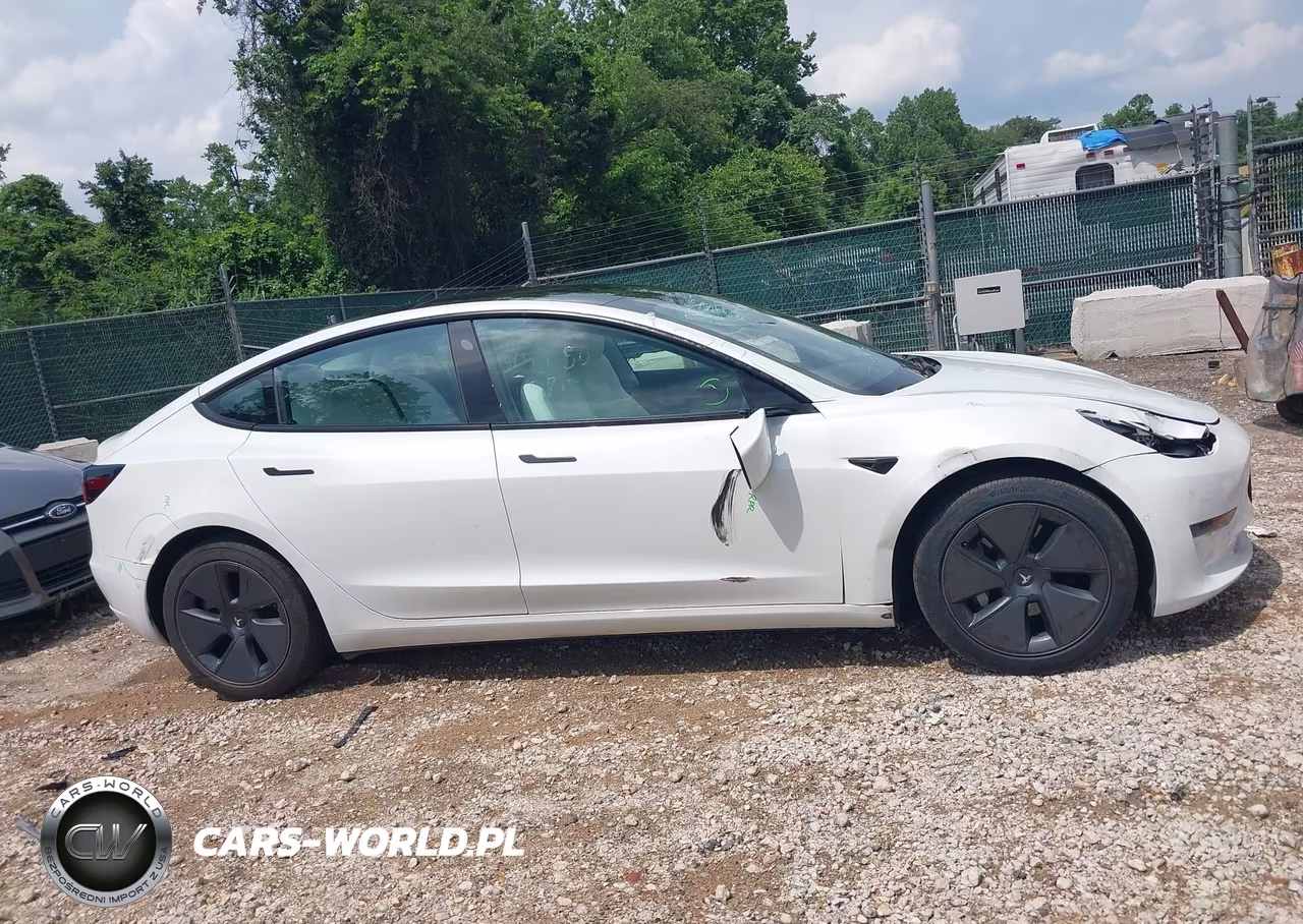 2022 Tesla Model 3 Long Range Dual Motor All-Wheel Drive VIN:5YJ3E1EBXNF192910 - 13