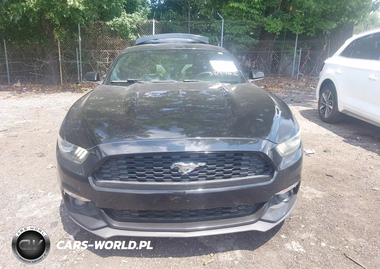 2015 Ford Mustang Ecoboost VIN:1FA6P8TH4F5327962 - 12