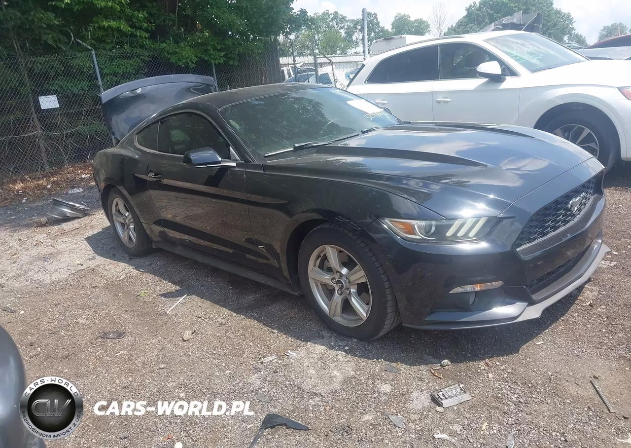 2015 Ford Mustang Ecoboost VIN:1FA6P8TH4F5327962 - 13
