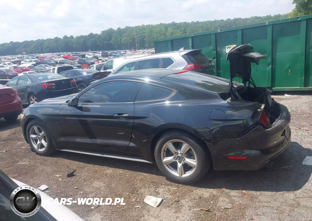 2015 Ford Mustang Ecoboost VIN:1FA6P8TH4F5327962 - 14