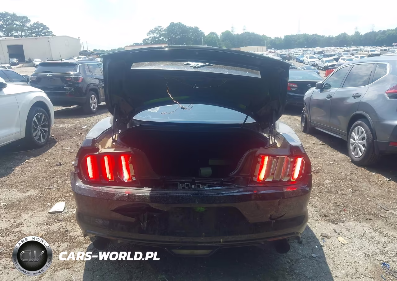 2015 Ford Mustang Ecoboost VIN:1FA6P8TH4F5327962 - 16