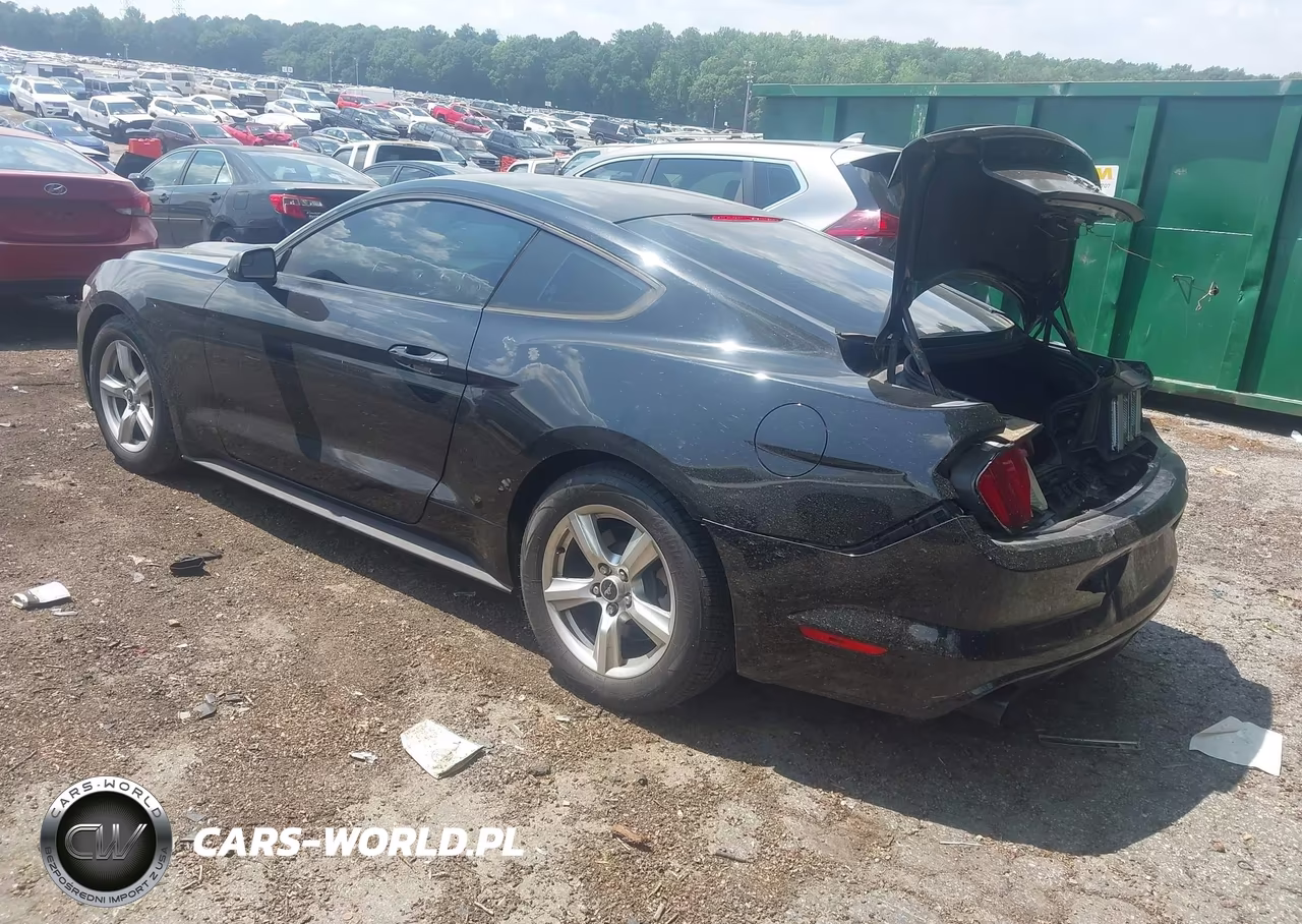 2015 Ford Mustang Ecoboost VIN:1FA6P8TH4F5327962 - 3