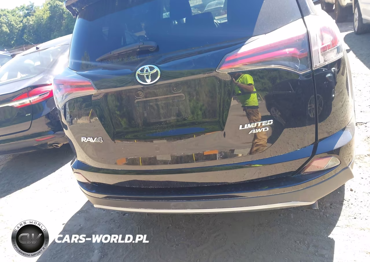 2017 Toyota Rav4 Limited VIN:2T3DFREVXHW695278 - 16