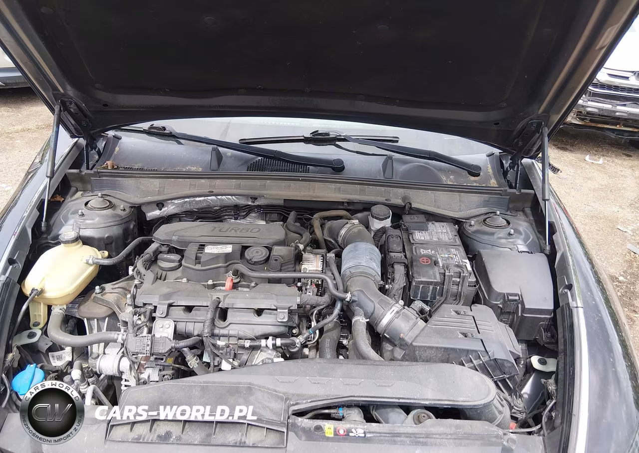 2021 Hyundai Sonata Sel Plus VIN:5NPEJ4J22MH117467 - 10