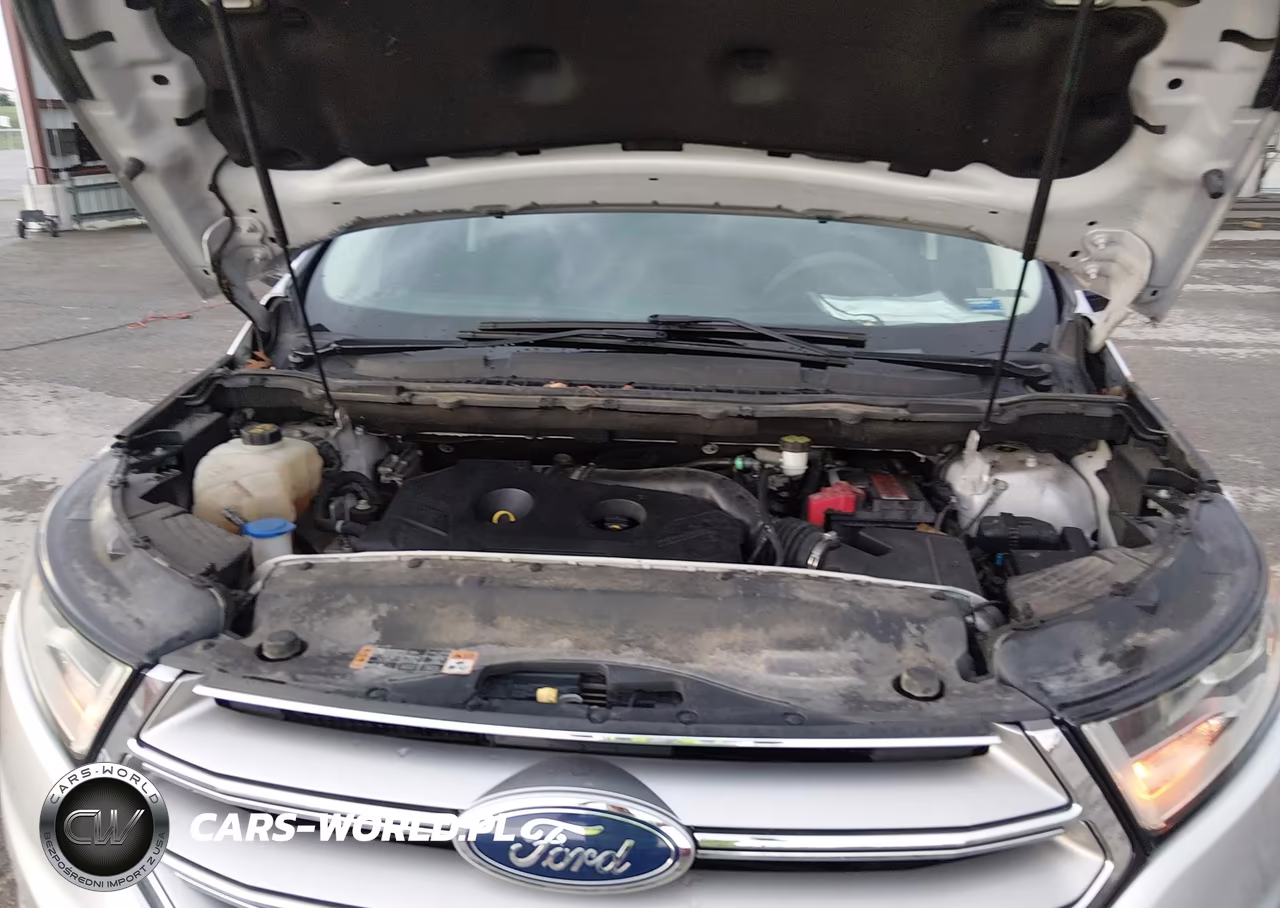 2017 Ford Edge Sel VIN:2FMPK3J97HBC66404 - 10