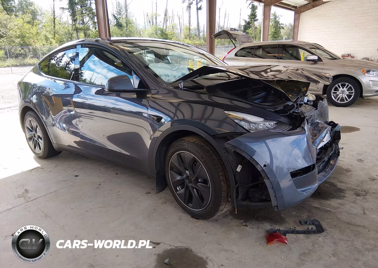 2020 Tesla Model Y Long Range Dual Motor All-Wheel Drive