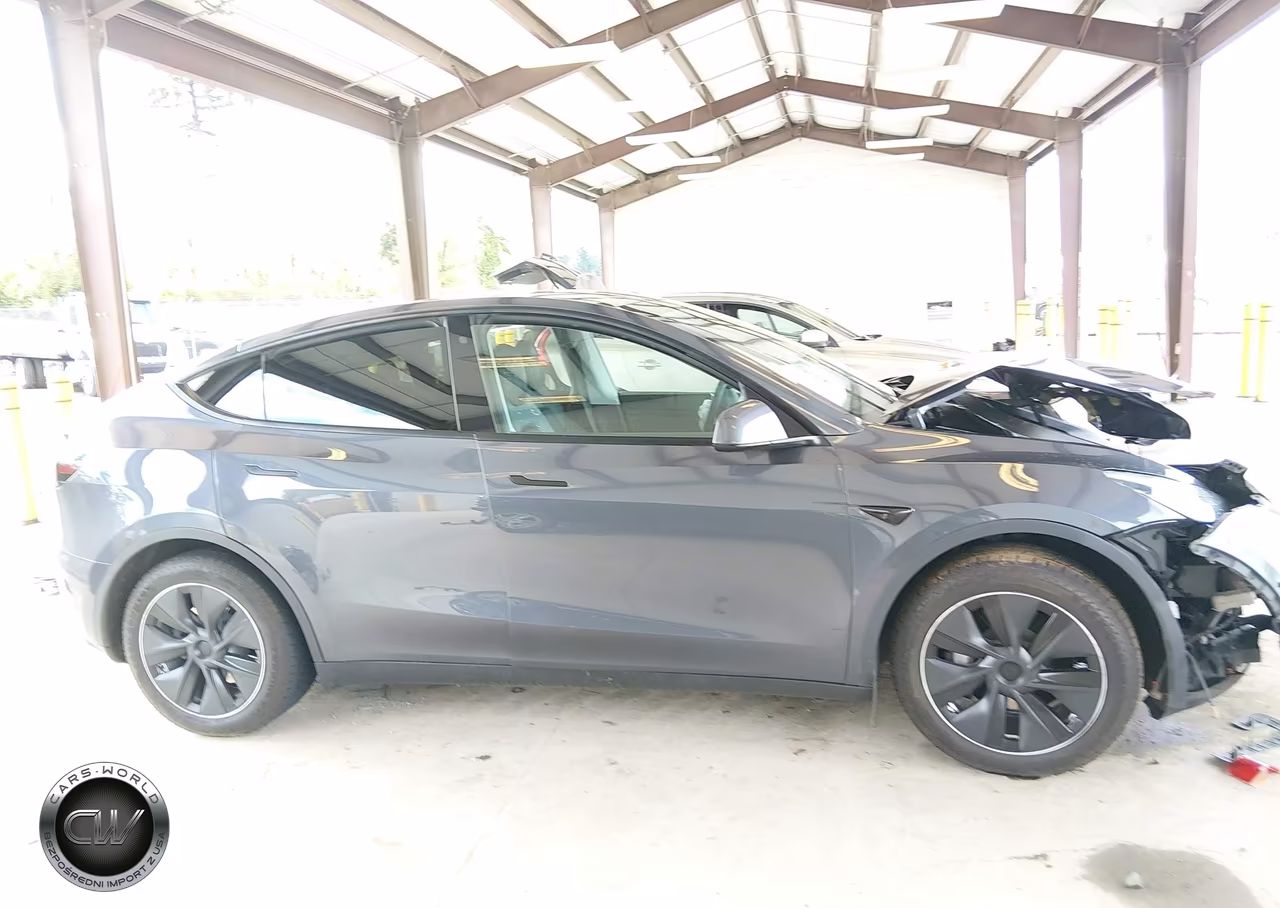 2020 Tesla Model Y Long Range Dual Motor All-Wheel Drive VIN:5YJYGDEE4LF013365 - 13