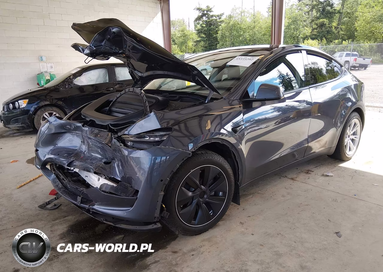 2020 Tesla Model Y Long Range Dual Motor All-Wheel Drive VIN:5YJYGDEE4LF013365 - 2