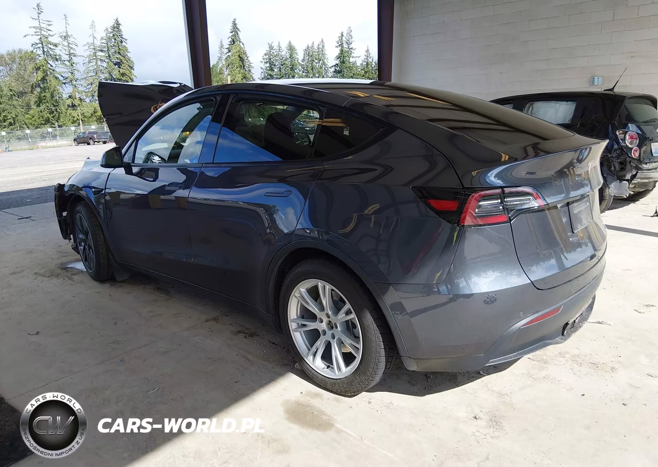 2020 Tesla Model Y Long Range Dual Motor All-Wheel Drive VIN:5YJYGDEE4LF013365 - 3