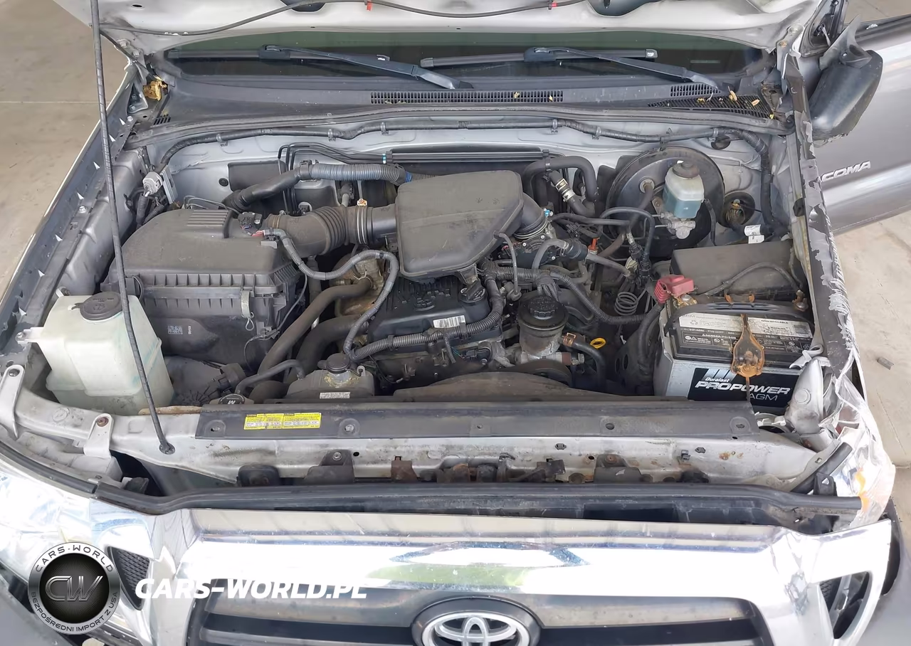 2006 Toyota Tacoma VIN:5TETX22N06Z151961 - 10