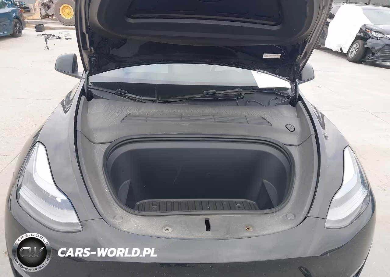 2024 Tesla Model Y Long Range Single Motor Rear-Wheel Drive-Rwd VIN:7SAYGDED9RA310874 - 10