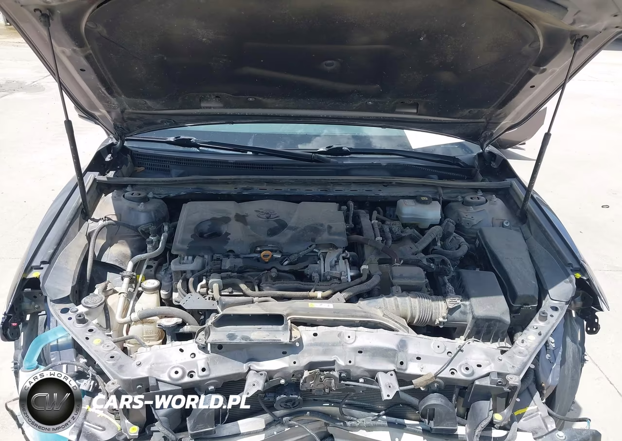 2020 Toyota Camry Xle Hybrid VIN:4T1F31AK0LU541050 - 10