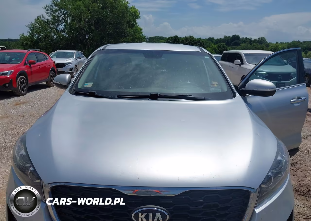 2019 Kia Sorento 2.4L L VIN:5XYPG4A34KG539230 - 6