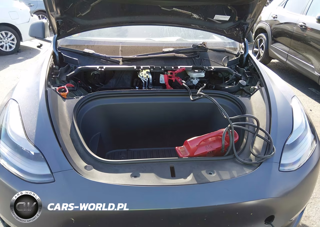 2023 Tesla Model Y Awd-Long Range Dual Motor All-Wheel Drive VIN:7SAYGDEE1PA166677 - 10
