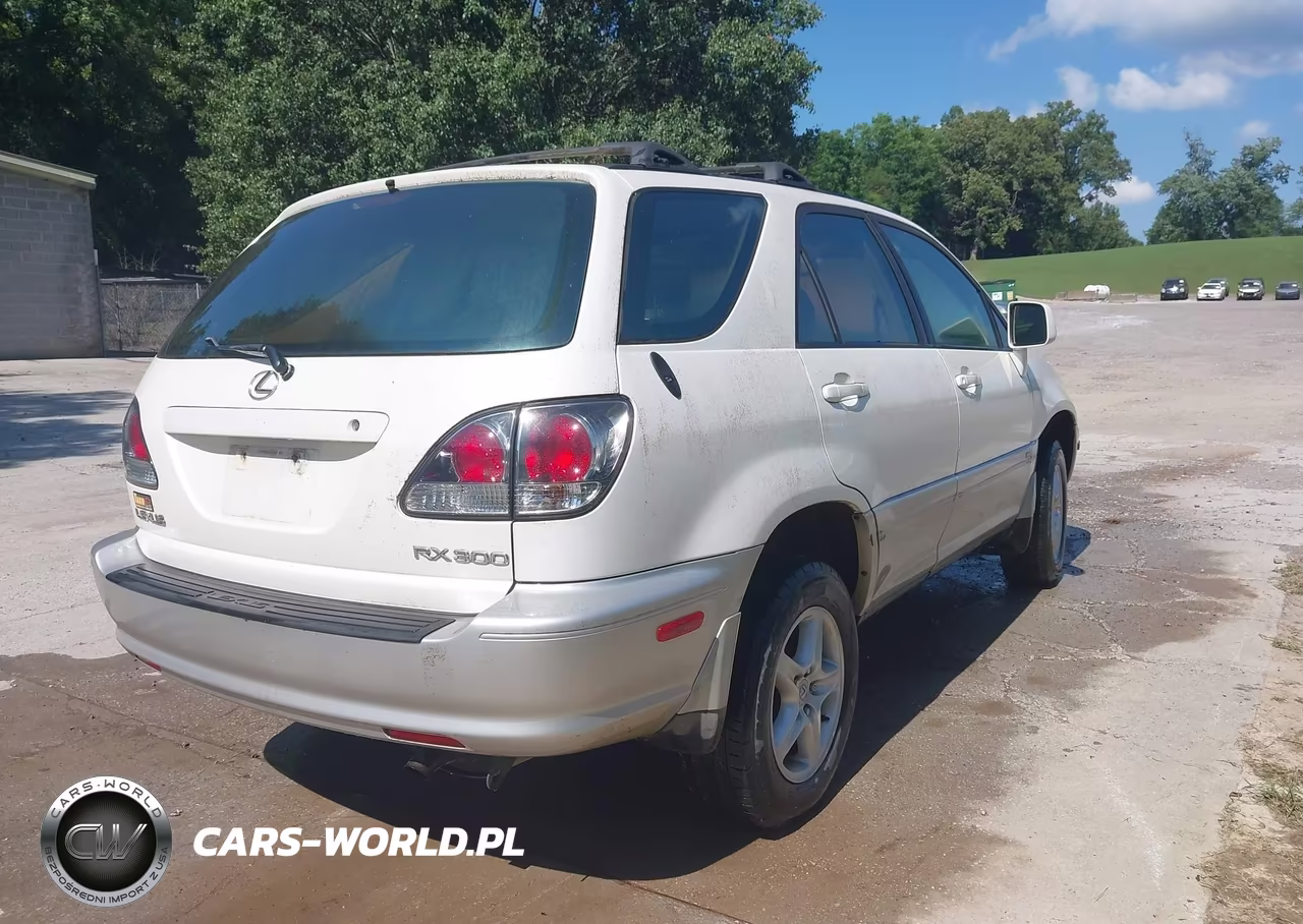 2001 Lexus Rx 300 VIN:JTJHF10U710228649 - 4