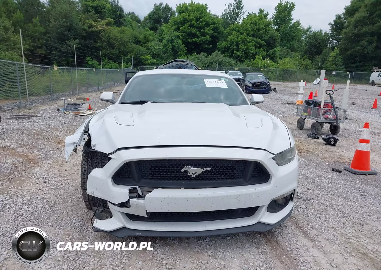 2017 Ford Mustang Gt VIN:1FA6P8CF2H5234410 - 12