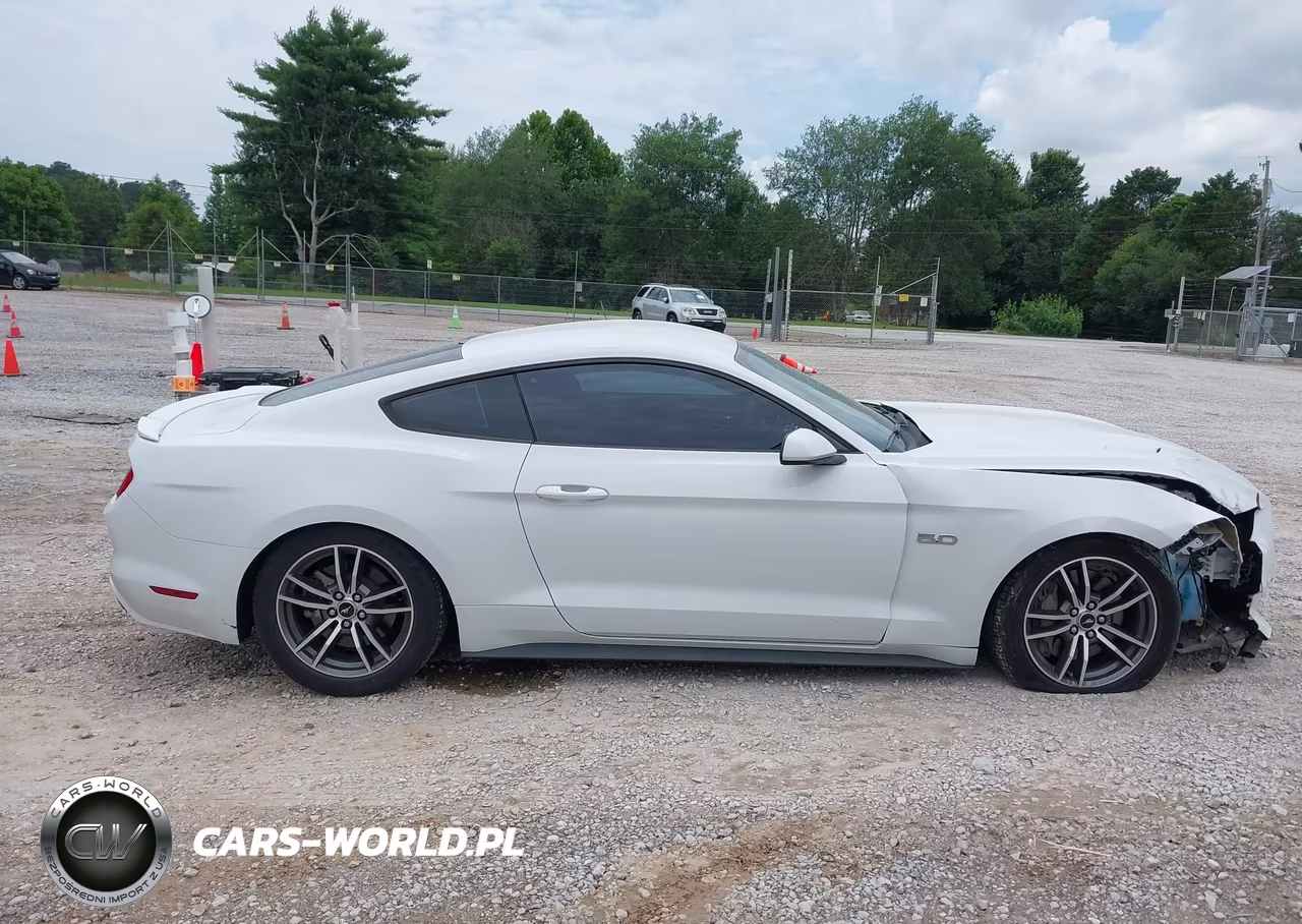 2017 Ford Mustang Gt VIN:1FA6P8CF2H5234410 - 13