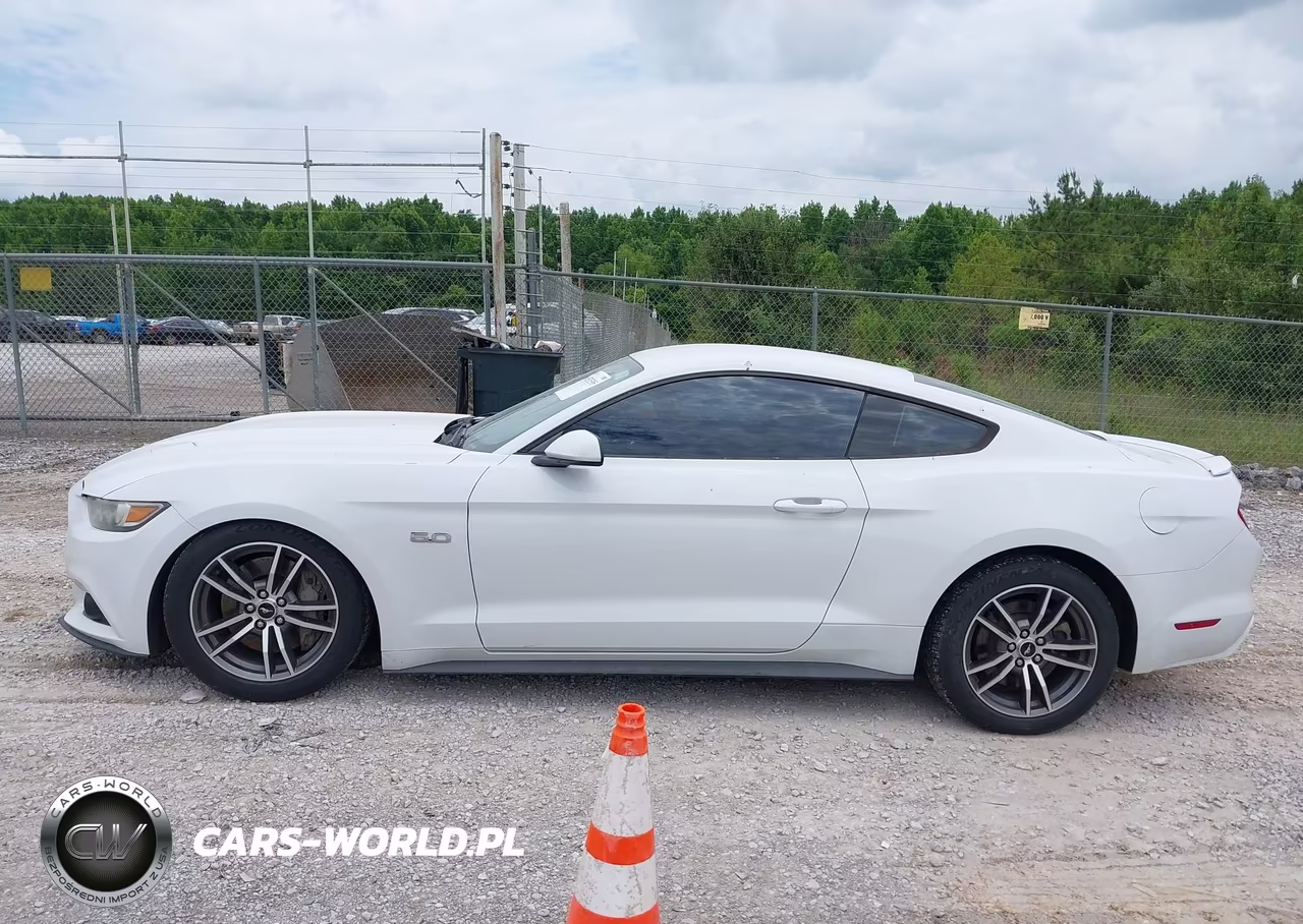 2017 Ford Mustang Gt VIN:1FA6P8CF2H5234410 - 14