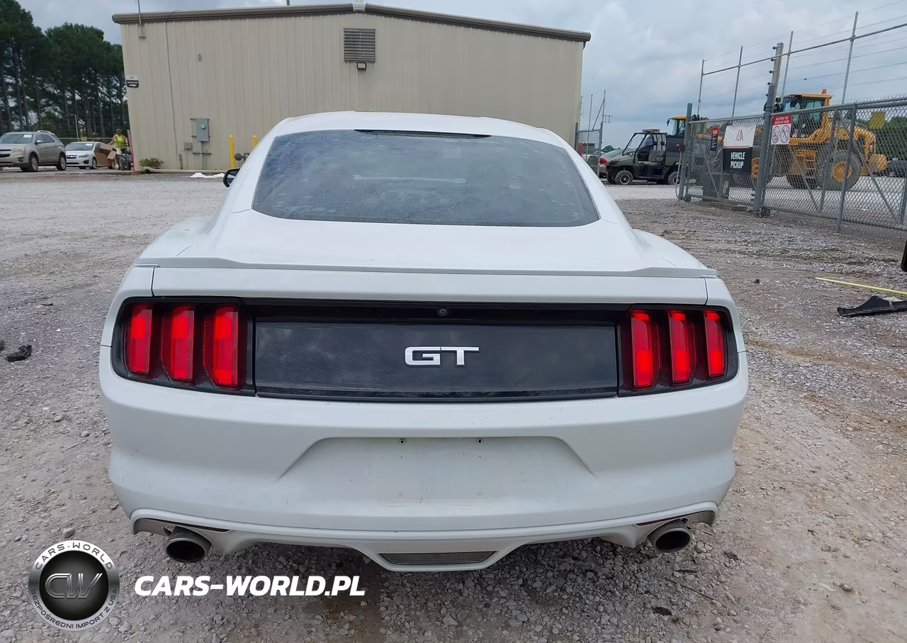 2017 Ford Mustang Gt VIN:1FA6P8CF2H5234410 - 16