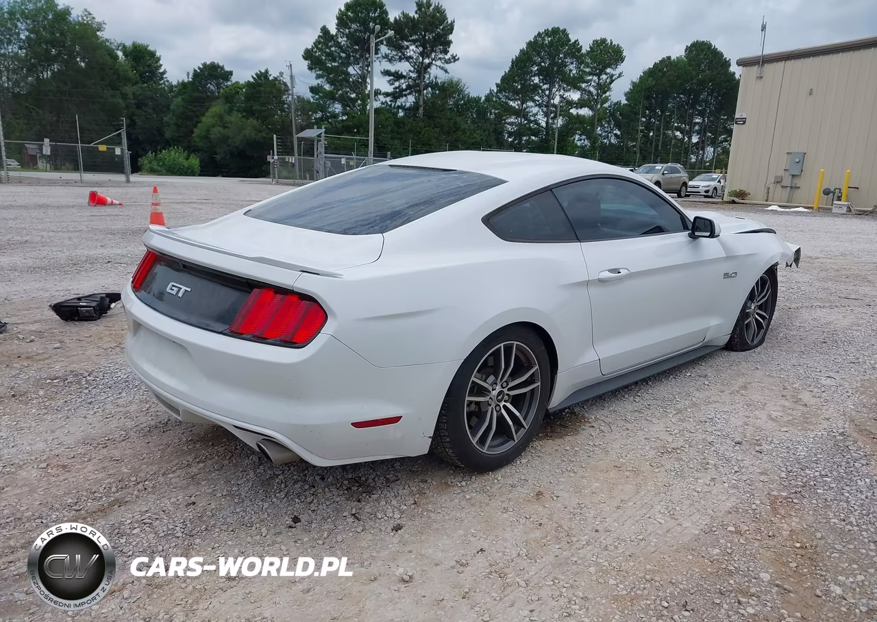 2017 Ford Mustang Gt VIN:1FA6P8CF2H5234410 - 4