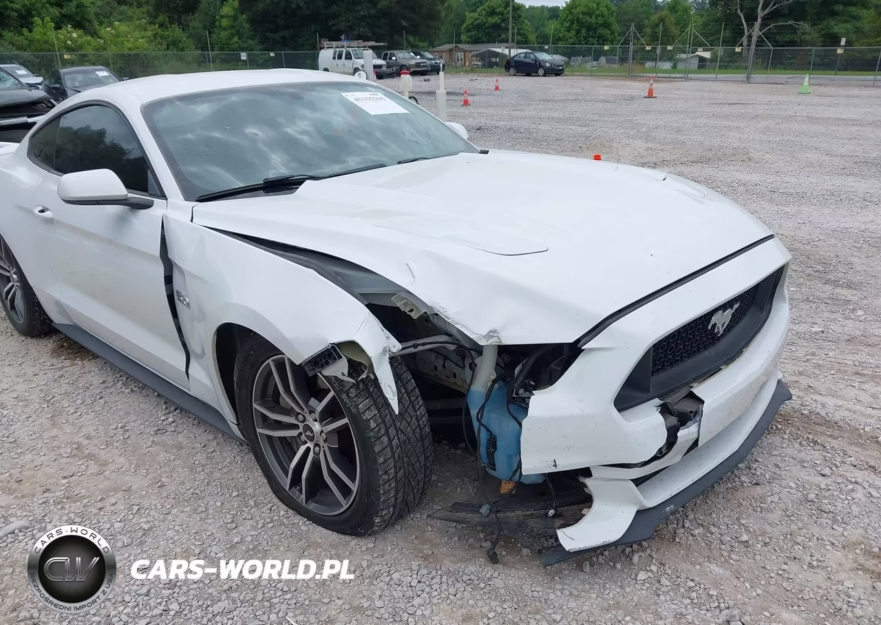 2017 Ford Mustang Gt VIN:1FA6P8CF2H5234410 - 6